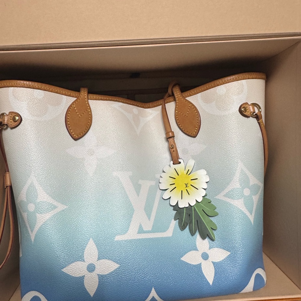 Louis Vuitton Blue and White Women's Bag